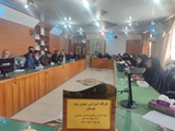 رشد قابل توجه شاخص‌های سلامت خانواده و جوانی جمعیت در سال ۱۴۰۳